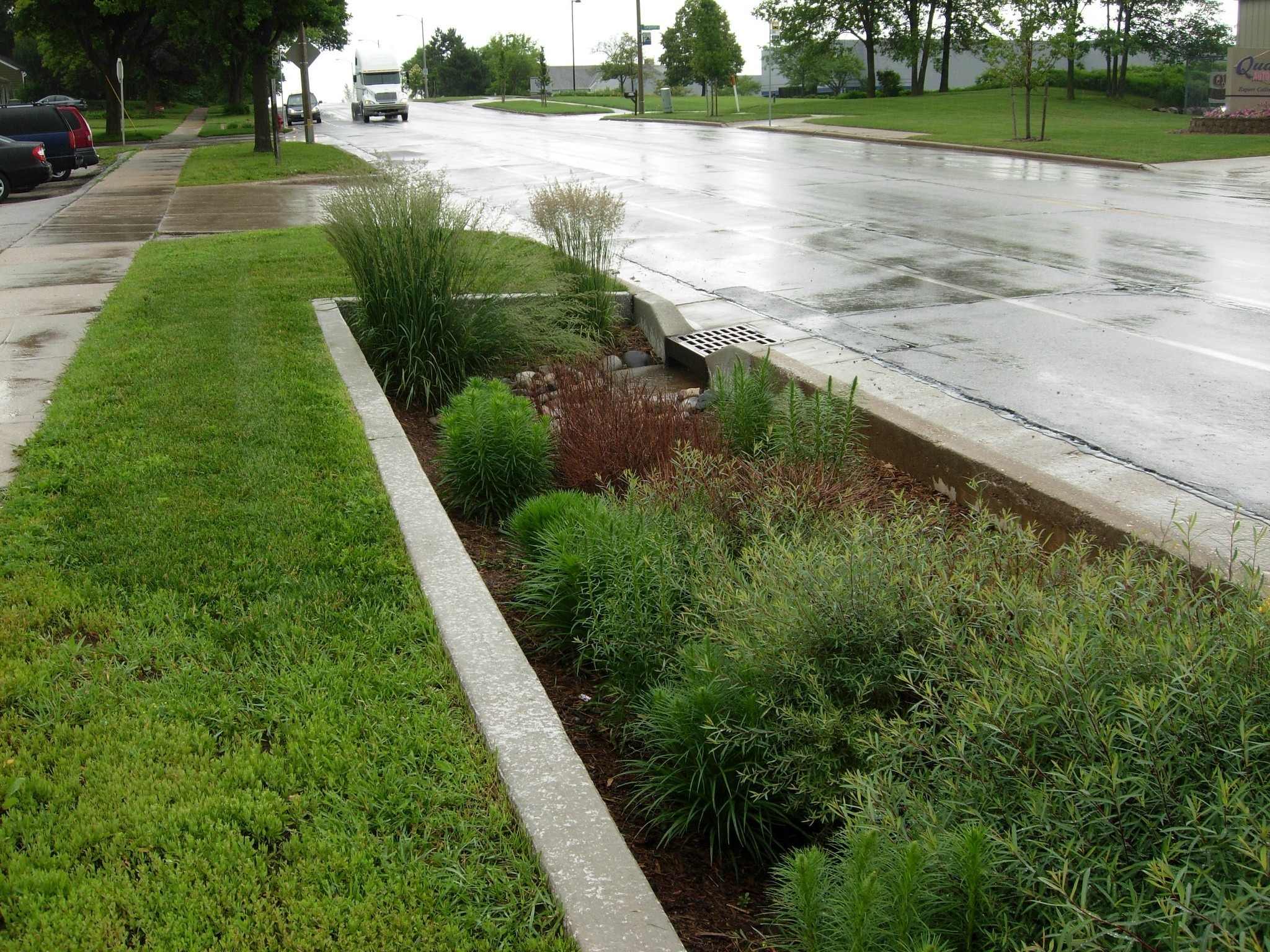 Why natural infrastructure is key to effective water management ...