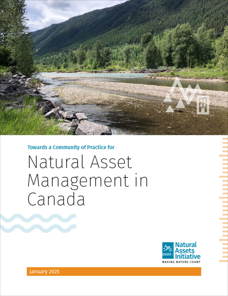 Towards a Community of Practice for NAM in Canada report cover