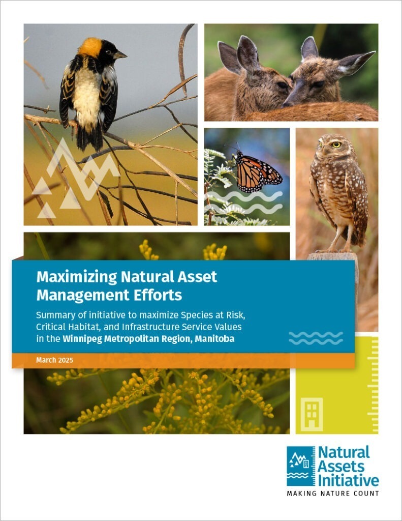 Maximizing Natural Asset Management efforts in the Winnipeg Metropolitan Region, MB report cover
