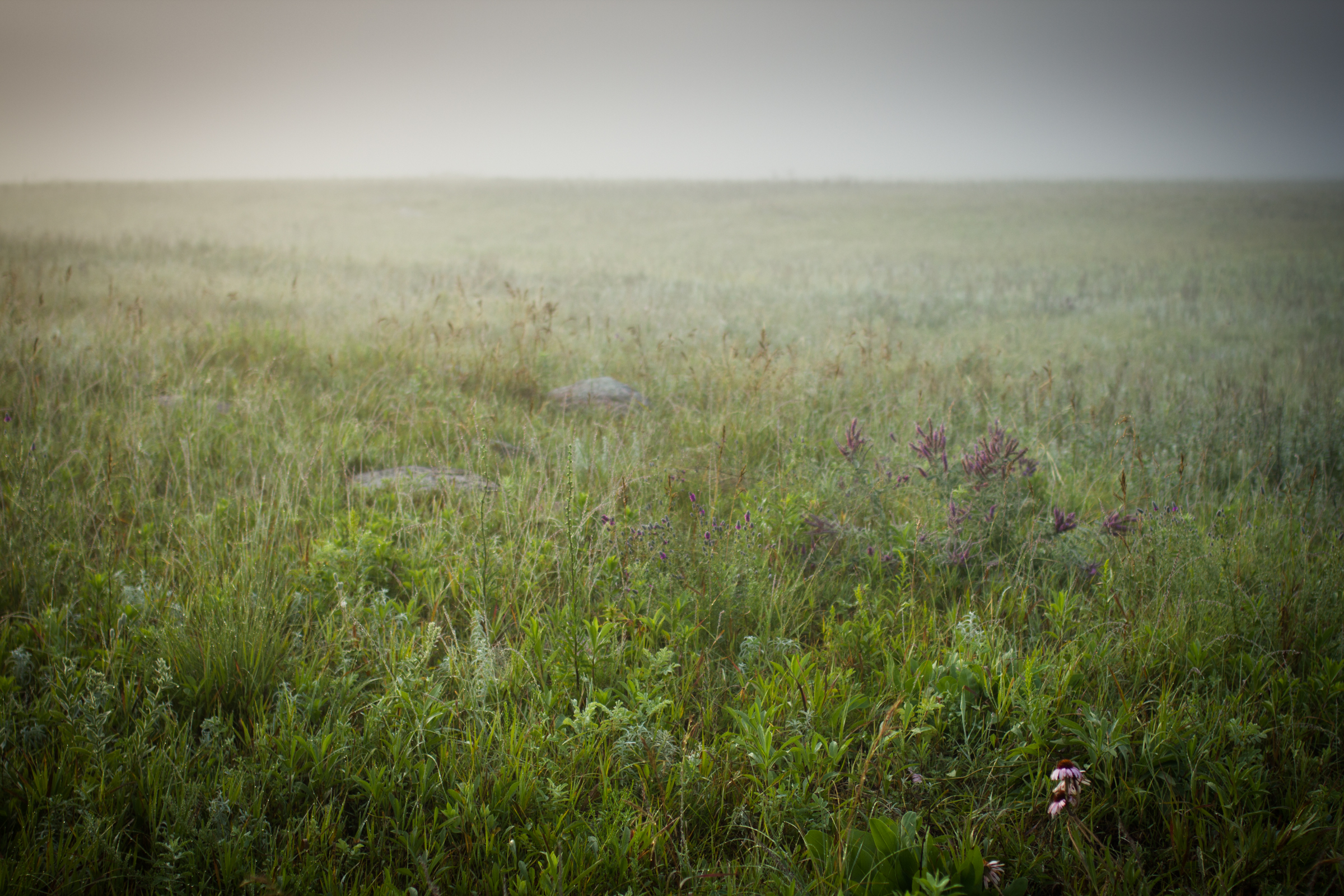 Foggy Prairie © Justin Meissen from St Paul, United States