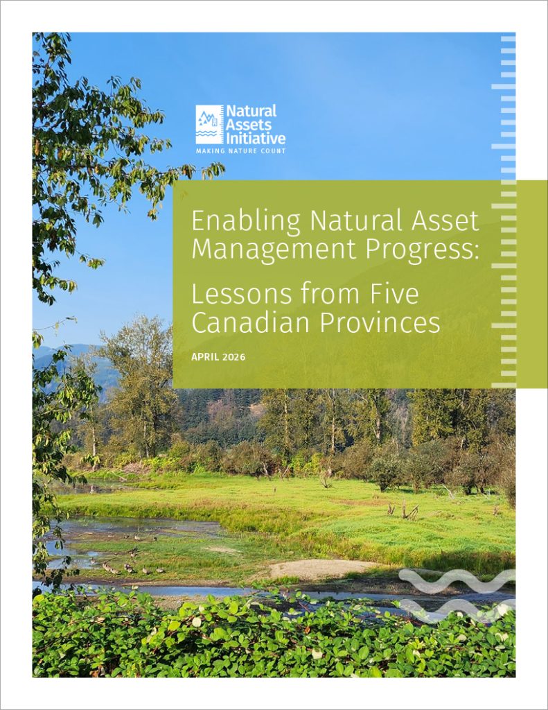 Cover page for Natural Assets Initiative report: 'Enabling Natural Asset Management Progress: Lessons from Five Canadian Provinces' (April 2026) with a riverside landscape.