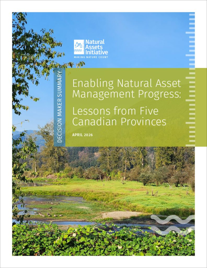 Cover page for Natural Assets Initiative Summary  'Enabling Natural Asset Management Progress: Lessons from Five Canadian Provinces' over a landscape photo