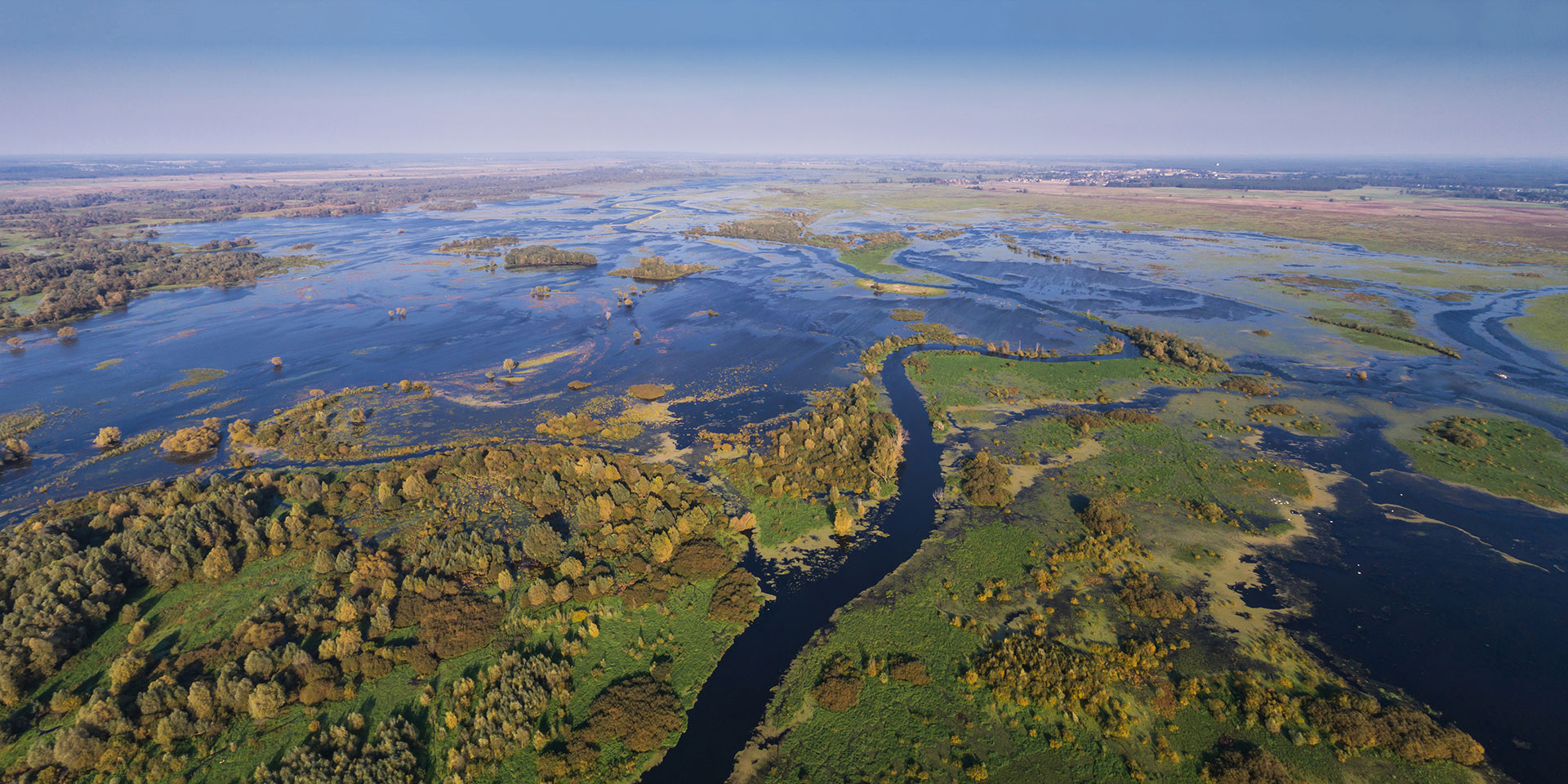 Aerial view of a winding river weaving through a flooded delta with green patches and trees nearby.